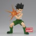 Hunter x Hunter Vibration Stars Gon